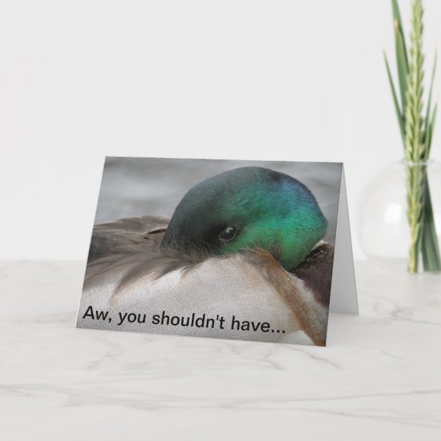 Merci de Mallard Drake (Devant)