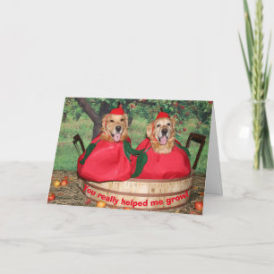 Merci de professeur de pommes de golden retriever