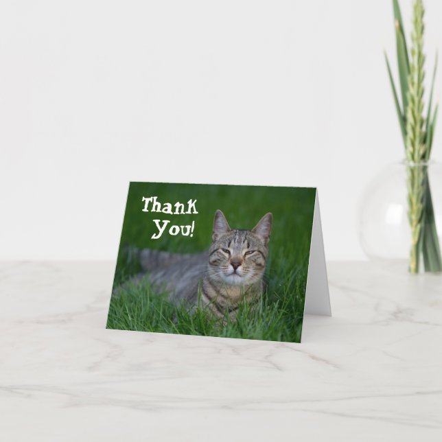 Merci de sourire de chat tigré (Devant)