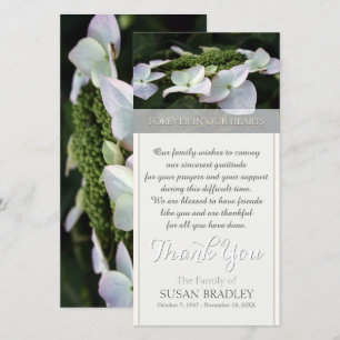 Merci de Sympathy Hydrangea