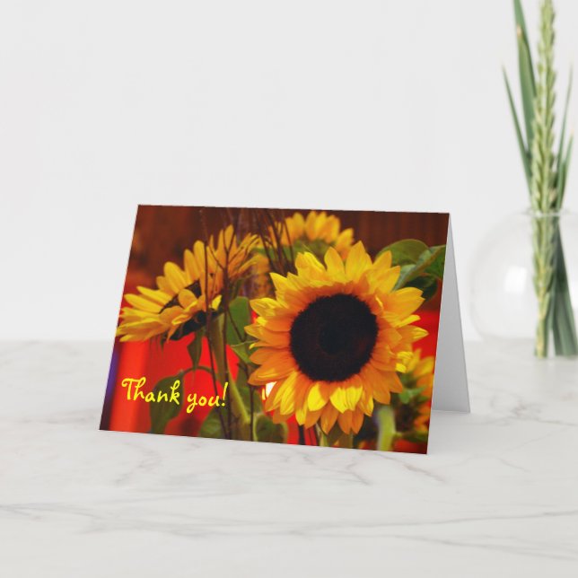 Merci de tournesol ! (Devant)