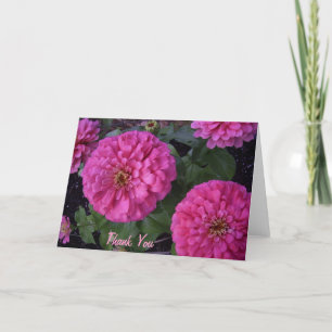 Merci de zinnia de roses indien