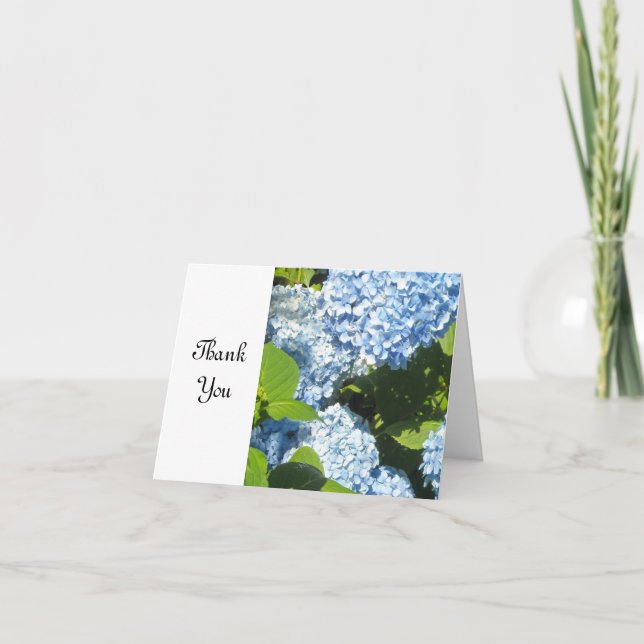 Merci doux bleu Hydrangea (Devant)