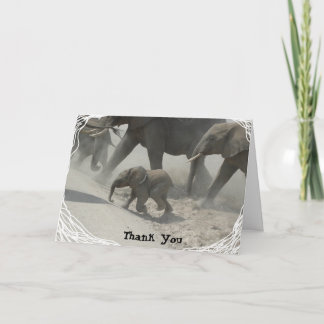 Merci -   éléphant africain
