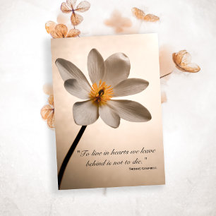 Merci Fleur sauvage blanc pour votre carte de symp