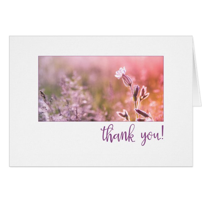 Merci Fleur sauvage Pink Light Campion (Devant horizontal)
