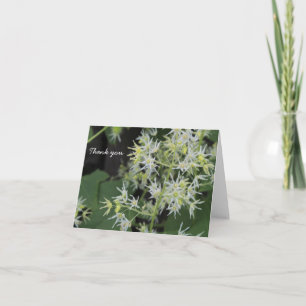 Merci - Fleurs