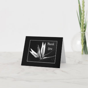 Merci floral noir et blanc frappant