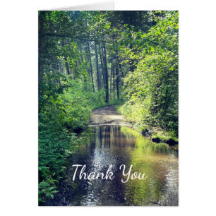 Merci Forest Lake Wilderness Paysage paisible