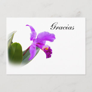 Merci, Gracias, Espagnol, carte d'orchidée