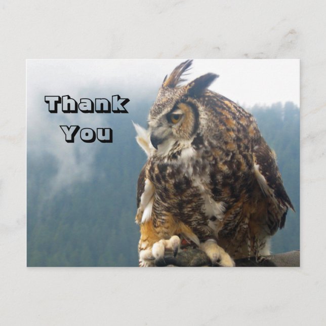 Merci Grande chouette à cornes Carte postale (Devant)
