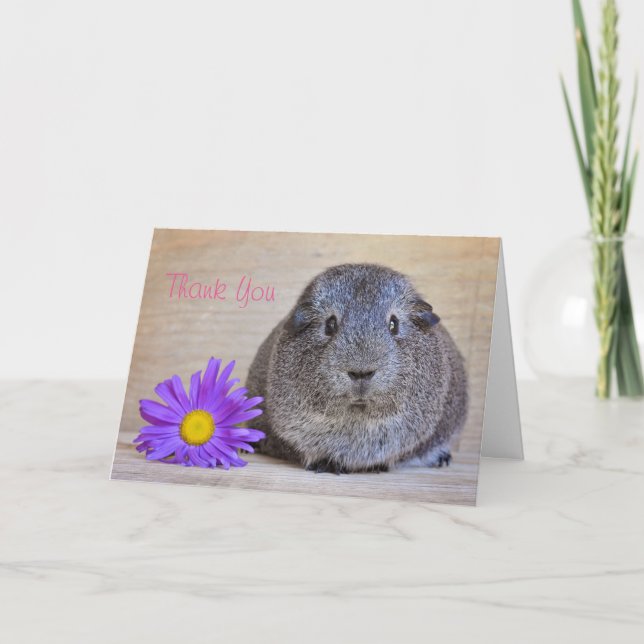 Merci Guinée carte de porc Genera Daisy (Devant)