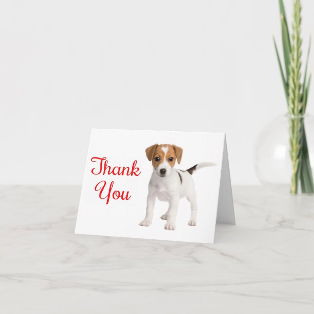 Merci Jack Russell Terrier Puppy Chien Note Card (Devant)