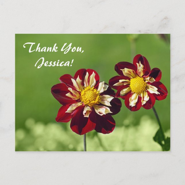 Merci, Jessica ! Carte postale (Devant)