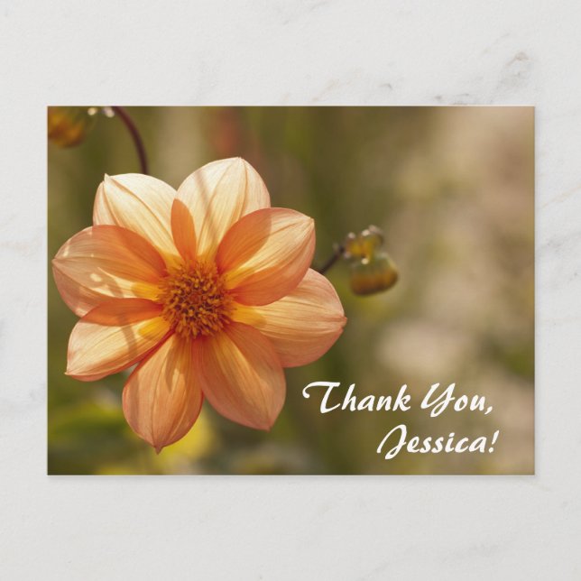 Merci, Jessica ! Carte postale (Devant)