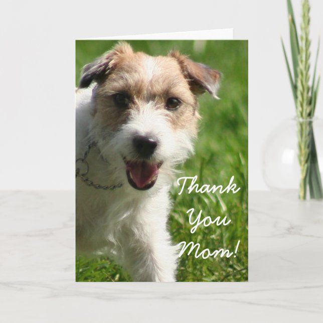 Merci Maman Jack Russell Terrier Carte de voeux (Devant)
