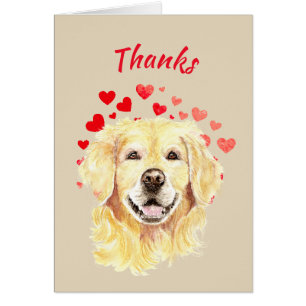 Merci, Merci Golden Retriever Dog