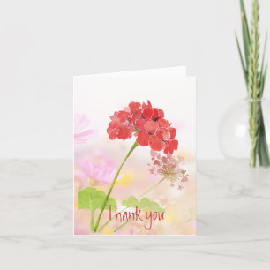 Merci Merci Red Geranium Garden Flower