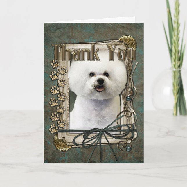 Merci - pattes en pierre - Bichon Frise (Devant)