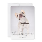 Merci photo commémoratif simple script pour animau