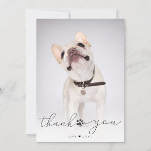 Merci photo commémoratif simple script pour animau