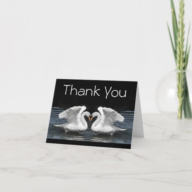 Merci — Photographie des cygnes muets blancs (Devant)