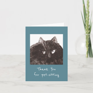 Merci pour animaux de compagnie de chats gras