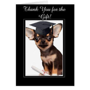Merci pour la carte cadeau de diplôme Chihuahua
