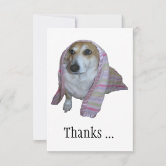 Merci Pour Toutes Les Bonnes Heures Corgi