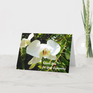 Merci pour votre carte de sympathie - orchidée