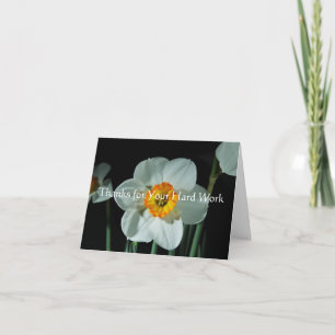 Merci pour votre dur labeur