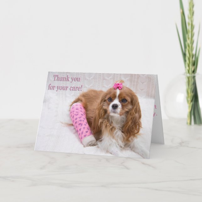 Merci Pour Votre Soin Le Roi Charles Spaniel (Devant)