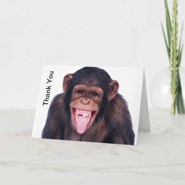 Merci riant de singe (Devant)