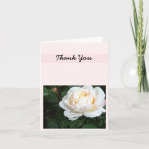 Merci Rose Pearl