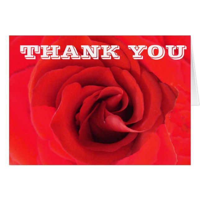 Merci Rose rouge Fleur Gros plan Photo Floral (Devant horizontal)
