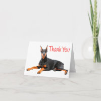 Merci rouge Chien à chiots Doberman Pinscher - Blu