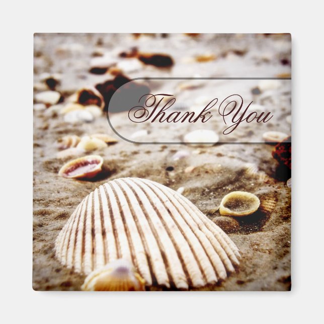 Merci Seashells Beach Magnet (Devant)