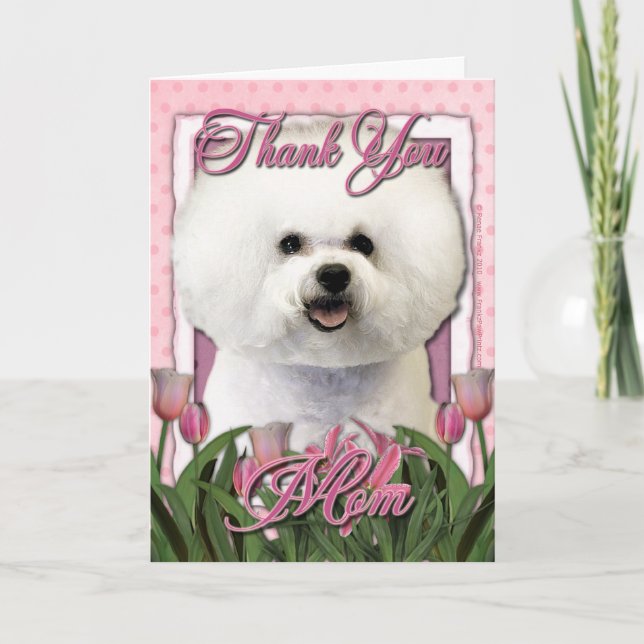 Merci - tulipes roses - Bichon Frise (Devant)