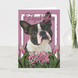 Merci - Tulipes roses - Boston Terrier