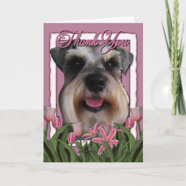 Merci - Tulipes roses - Schnauzer (Devant)