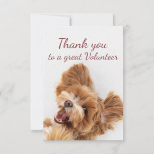 Merci Volontaire Amusant Floofy Happy Chien Chien 