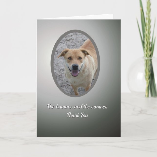Merci volontaire, délivrance de chien (Devant)