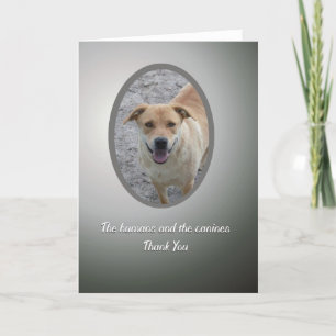 Merci volontaire, délivrance de chien