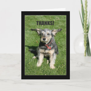 Merci ! Votre Gentillesse M'A Presque Éloigné !