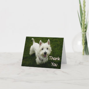 Merci West Highland Terrier Puppy Dodge Card