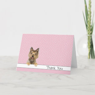 Merci Yorkshire Terrier en Pois