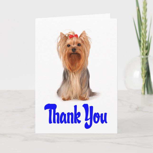 Merci Yorkshire Terrier Puppy Card - Verso (Devant)