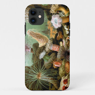 Merculiano Sea Anemones iPhone 5 Barely There Case