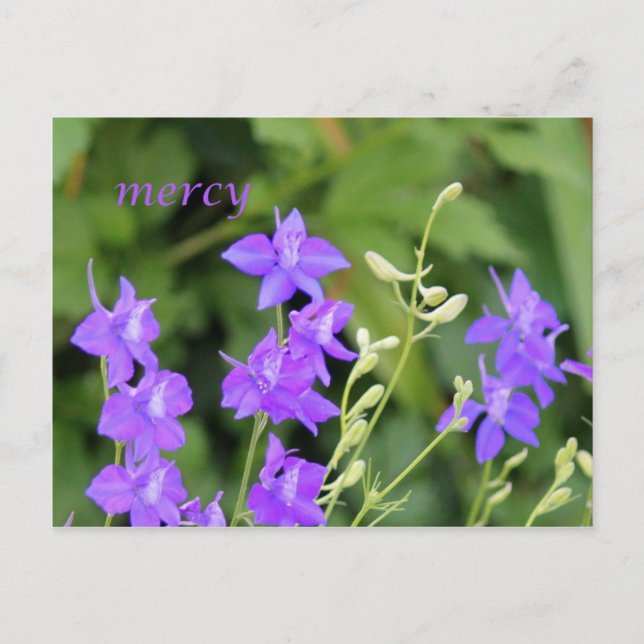 mercy postcard (Front)