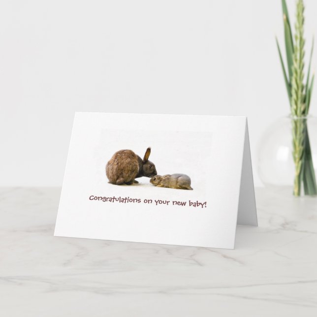 Mère de lapin et bébé - nouvelle carte de bébé (Devant)